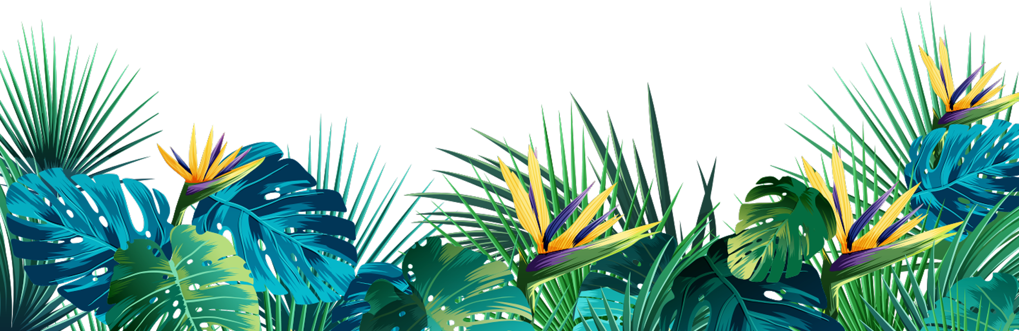 background_blog-1