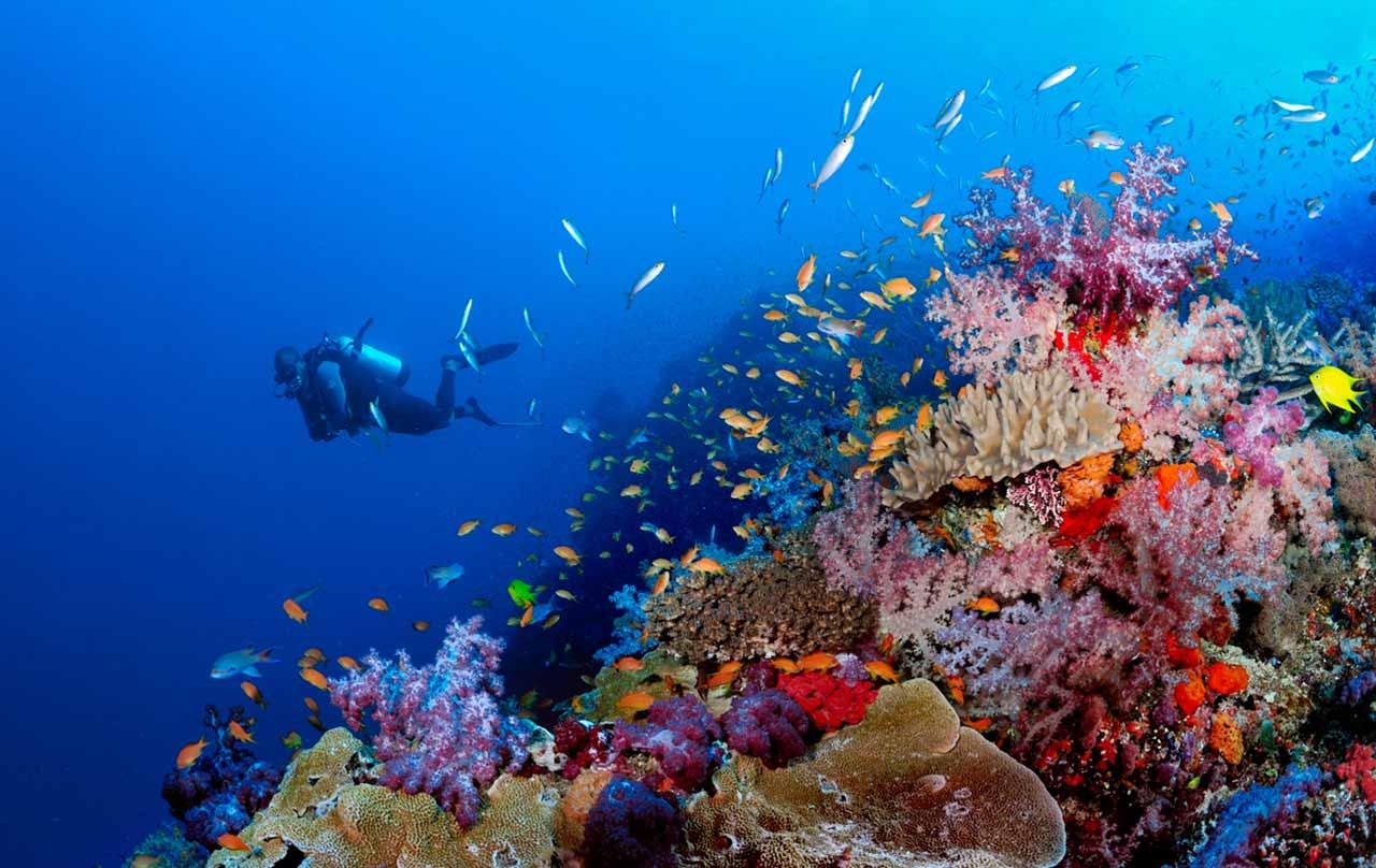 https://images.openai.com/static-rsc-4/uWhMvhBDjCS2C8tUvszAoo1pauq3XKqkwhtN02BJtHloYaIyxAjMt-pjtcgziz10uiUZofxZ9IoDXxrMjVPBvGlvrw-oFY3CsrHaE5x52yk1tba0wZyb-QxEsvbB5Ha4fVQY2EUvjJg3BzABGV_nQ5QThe9kG2zlpVUR7nvz4AVGSTP7AB1AC2377WC1N013?purpose=fullsize